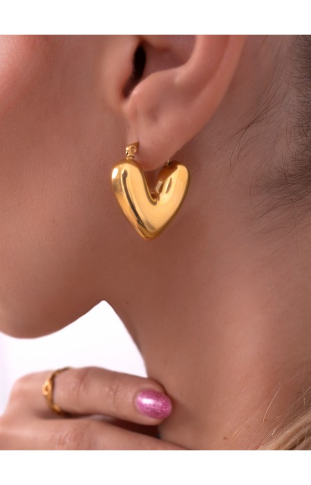 EARRINGS -HEARTFIELD