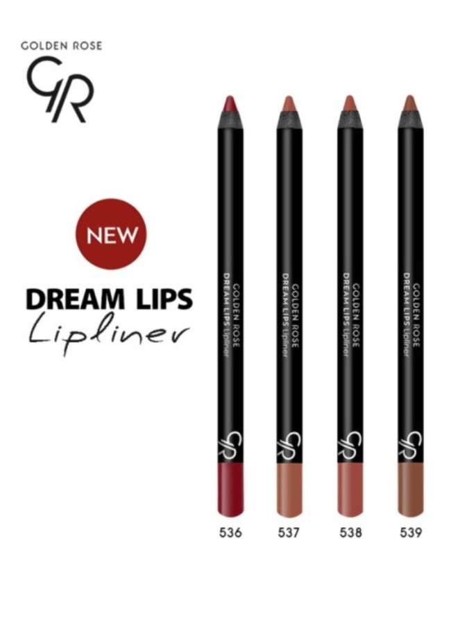 DREAM LIPS LIPLINER GOLDEN...