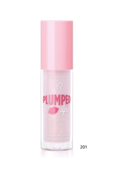 GOLDEN ROSE LIP GLOSS - PLUMPED LIPS